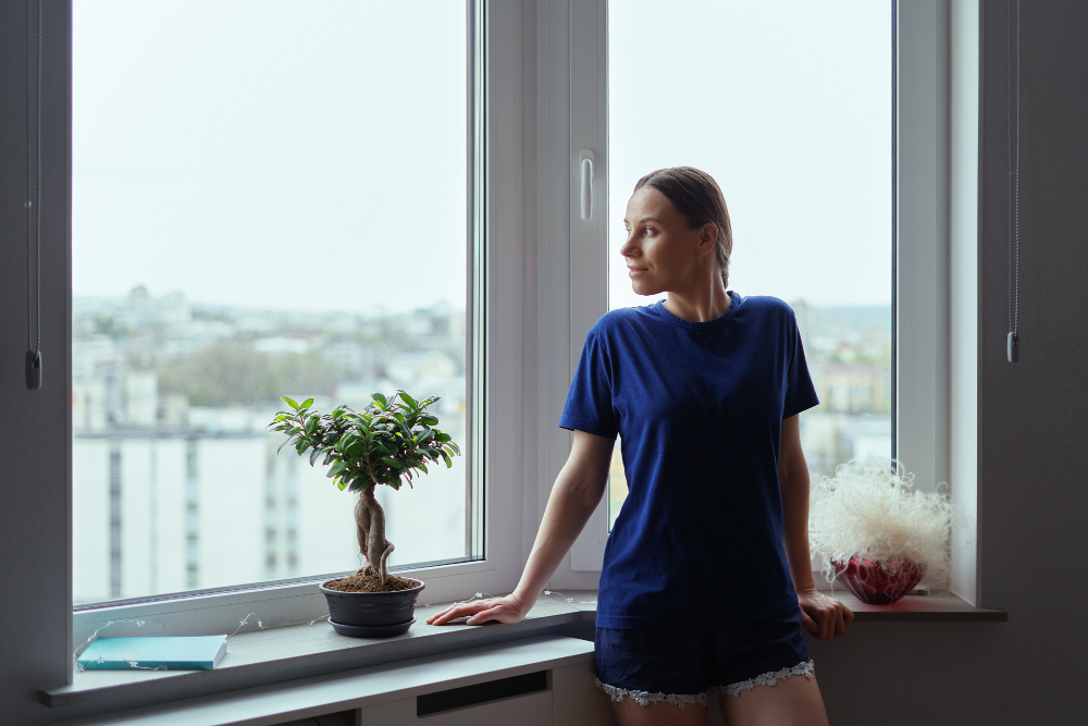 Normal Window Styles